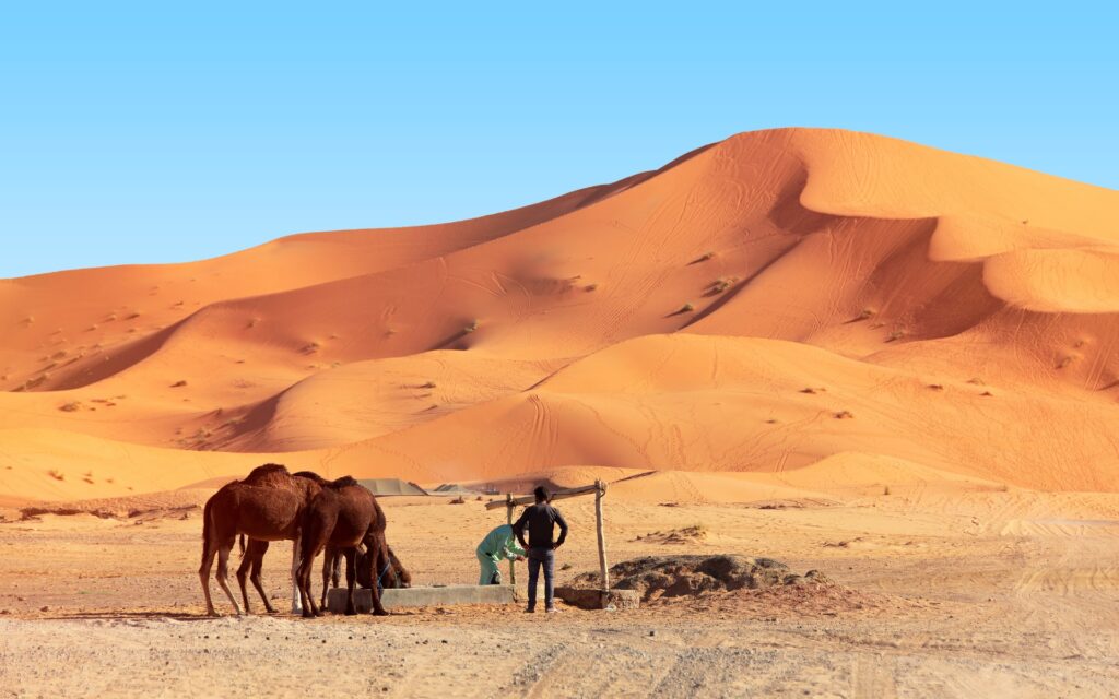 8 Days from Casablanca to Marrakech: Sahara Desert Tour via Merzouga – photo 7
