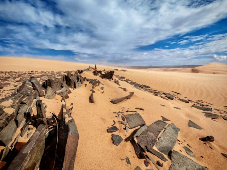 WhatsApp Image 2026-01-13 at 6.59.51 AM